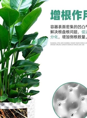 白色控根器围树板批发树苗根板屋顶围树板黑色移栽固根蓝莓种植快