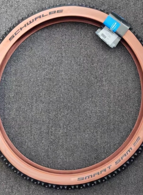世文schwalbe山地车外胎smart sam27.5×2.25棕边钢线胎29×2.25