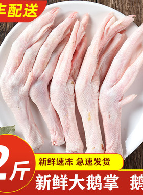 新鲜鹅爪 冷冻大鹅掌 烤鹅翅鹅腿土鹅四件大白鹅胗脚掌仔鹅肉老鹅