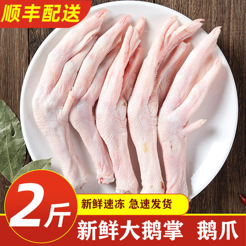 新鲜大鹅掌顺丰配送个大新鲜
