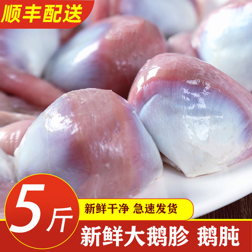 新鲜大鹅胗大鹅肫个大冷冻鲜鹅肉