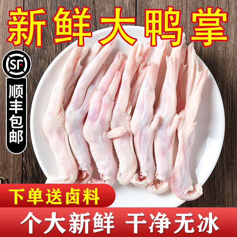 新鲜大号精选酒店卤菜