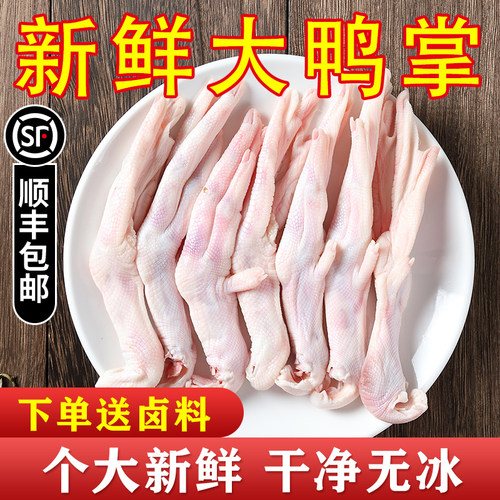 新鲜大号精选酒店卤菜