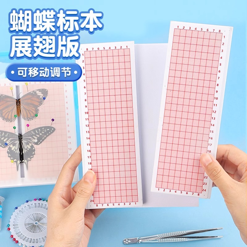 蝴蝶标本展翅板制作工具