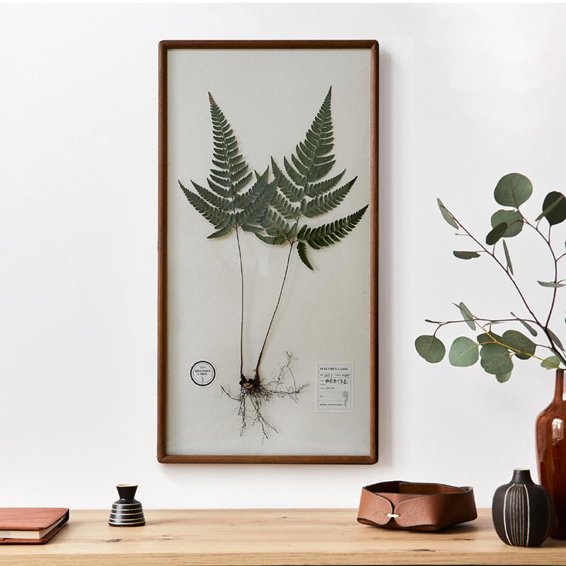 成品植物标本装饰画挂画带根大尺寸自然实木高级感创意图谱中古图片