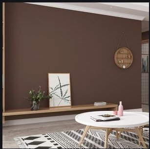 内墙哑光竹炭环保净味乳胶漆咖啡浅咖啡棕色褐色家装自刷墙面漆