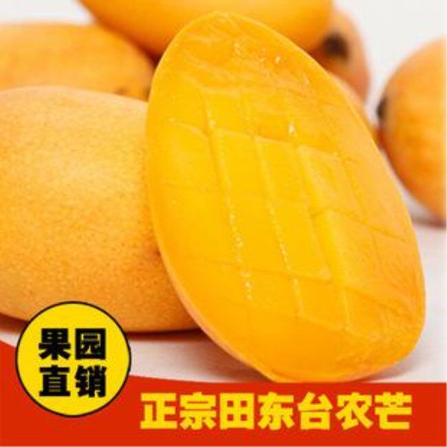 广西百色芒果田东大台农当季新鲜树上熟现摘现发大果10斤孕妇水果