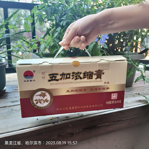 红1460克短梗五加带刺五加浓缩膏枸杞乌苏里江籽茶叶皮原浆