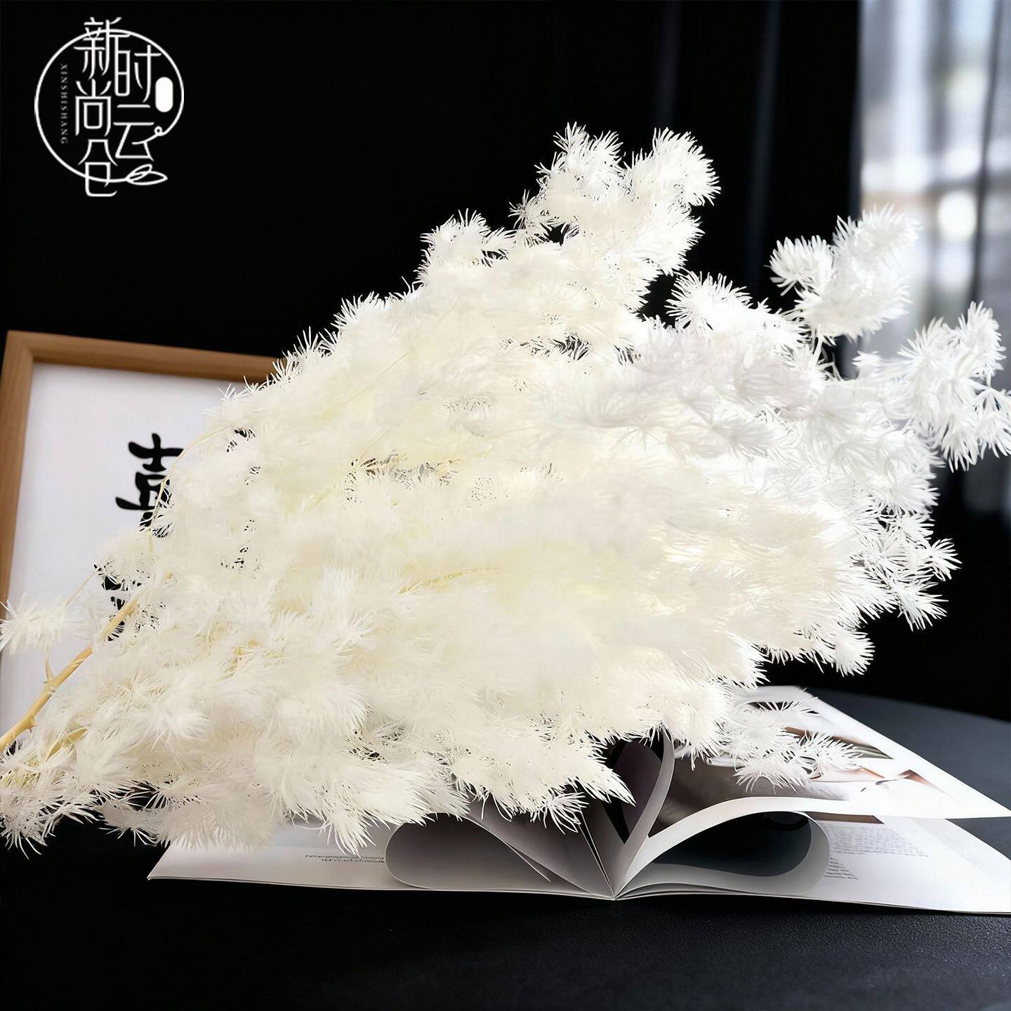 a级永生花蓬莱松手工花束婚礼场景网红diy家居花艺花店包装资材料