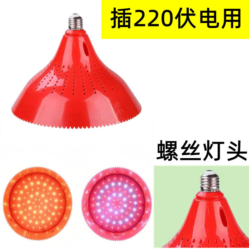 红壳专用led白光灯螺丝口红色红白红暖黄灯红色加白光灯红色加黄