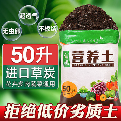 有机白菜花价格 有机白菜花图片 星期三 有机白菜花价格 有机白菜花图片 星期三