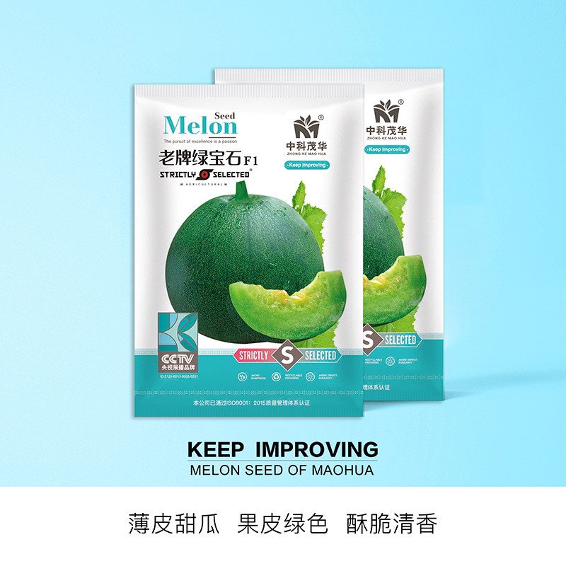 中科茂华瓜果种子杂交老牌绿宝石甜瓜种子皮肉瓤绿色