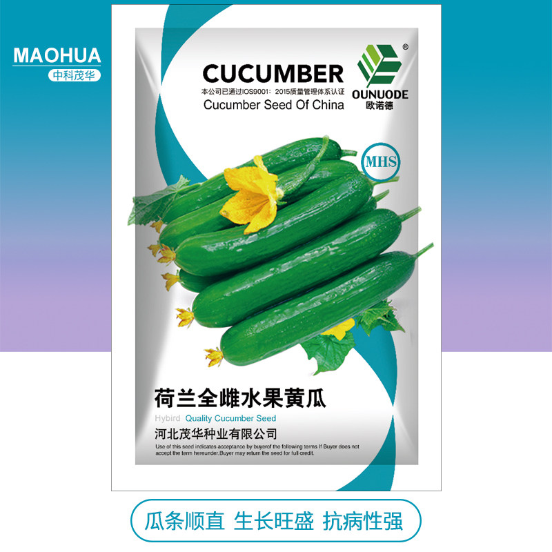 中科茂华蔬菜种子 全雌水果黄瓜种子 小乳瓜无刺型 甜脆爽口易种
