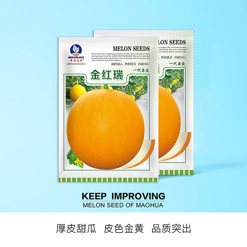 中科茂华蔬果瓜果种子金红瑞金黄皮大果白肉哈密瓜肉质清香甜蜜