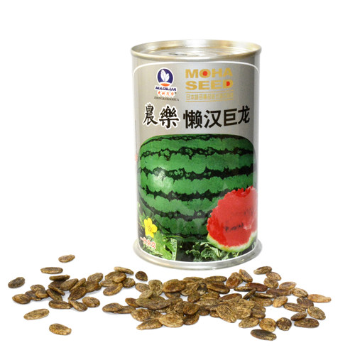 中科茂华懒汉巨龙山地石头瓜新城五号硒砂瓜双红瓤大果压沙瓜