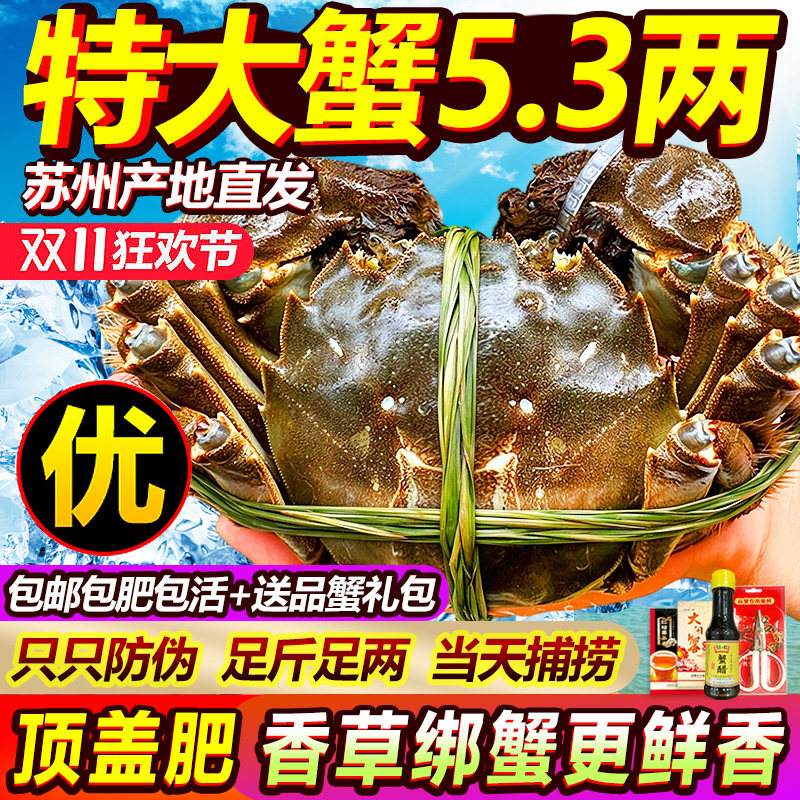 超特大5.3阳澄老马家大闸蟹鲜活蟹螃蟹现货10只公全母蟹湖鲜官方