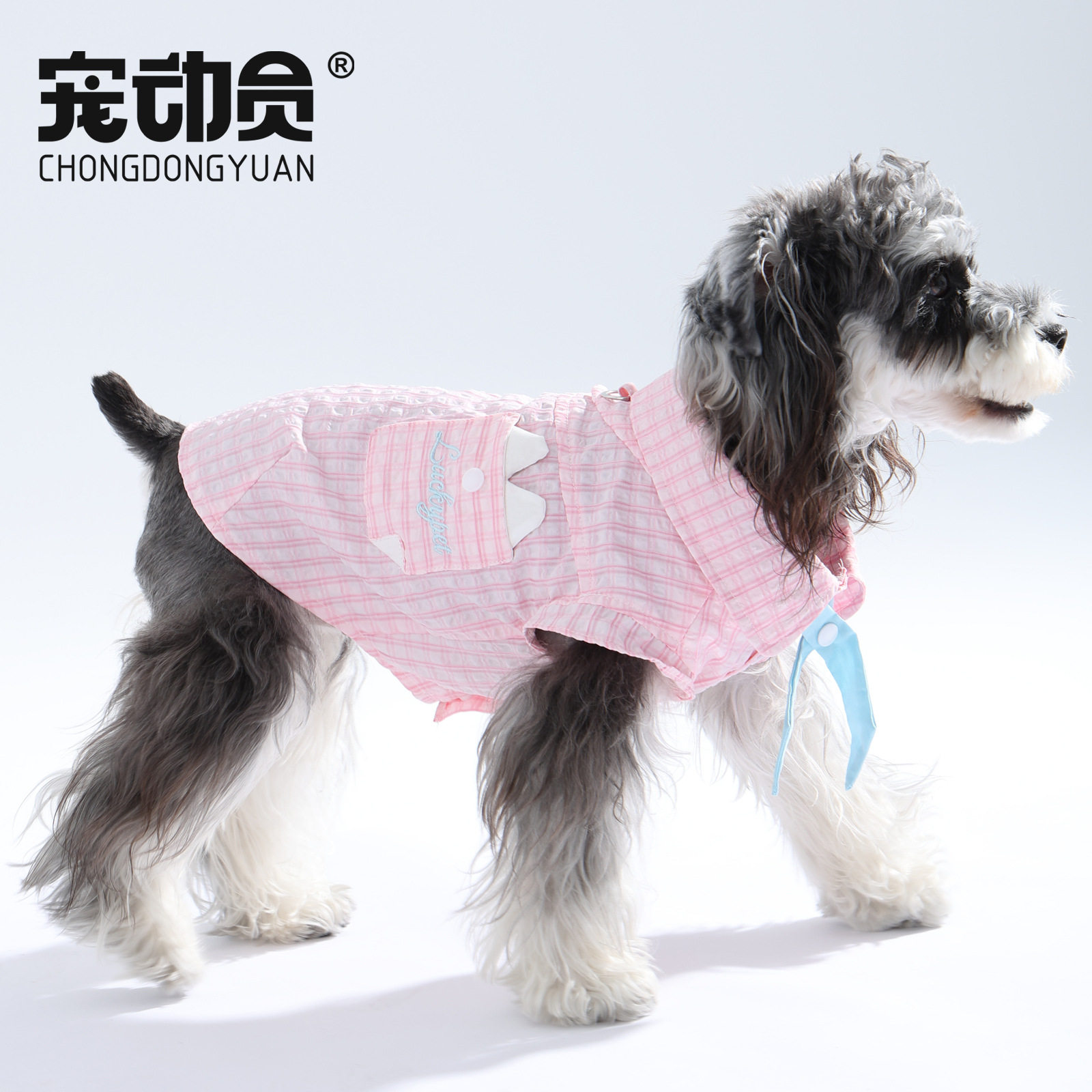 宠物衣服夏天薄款小型犬泰迪比熊约克夏两脚宠物狗狗服饰衣服春秋