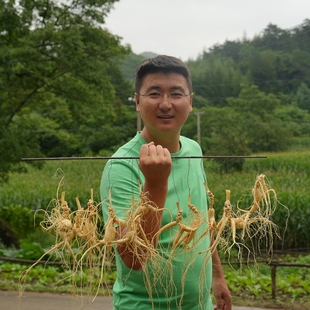 东北长白山人参林下山参野山参18年微残干参礼盒打粉泡酒家庭专用