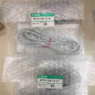 050CAAAN 喜開理CKD流量傳感器WFK2