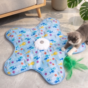 五角星猫咪玩具幼猫用品自动逗猫棒耐咬小猫消耗体力自嗨解闷神器