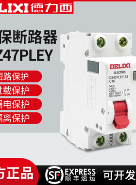德力西DZ47PLEY双进双出带漏电保断路器开关2位家用40A总闸32A63A