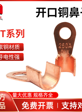 德力西铜鼻开口鼻OT-10 20A 30 40 50 80 60A 100A接线鼻头端子耳