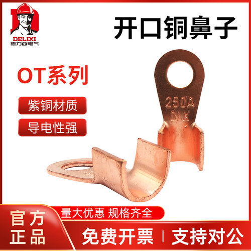 德力西国标厚件铜鼻子