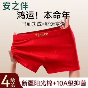 本命年男士内裤纯棉男款2026红色男生短裤马年结婚平角裤衩