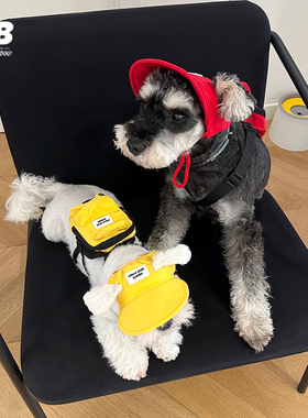 宠物狗狗外出小书包牵引自背包拾便袋包零食包户外用品太阳防晒帽