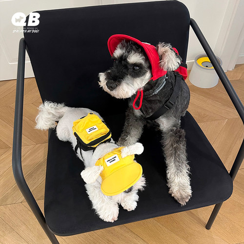 宠物狗狗外出小书包牵引自背包拾便袋包零食包户外用品太阳防晒帽