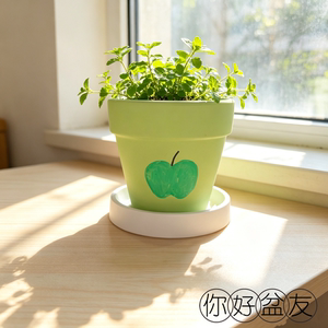 你好盆友「青苹果」很有氛围感的手绘红陶植物花盆|潮州·浮洋烧