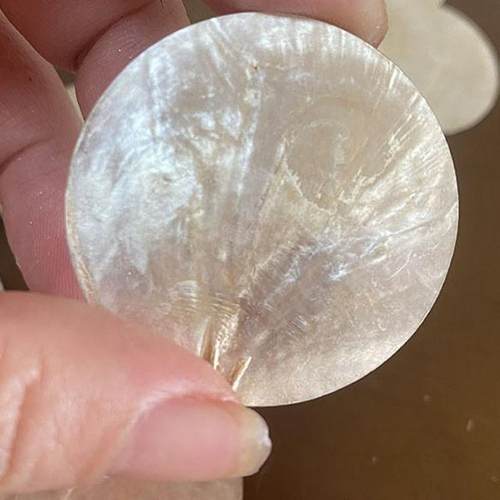 天然金色贝壳圆片手工DIY贝壳画贝母材料INS风材质云母贝