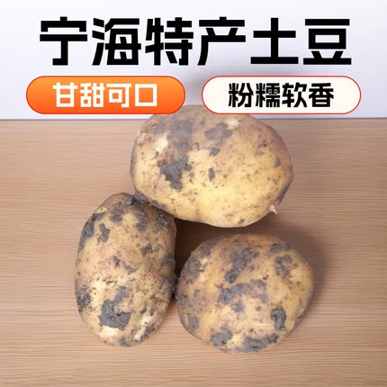 宁海农家自种洋芋高山黄心今年新大土豆新鲜现挖马铃薯迷你小土豆