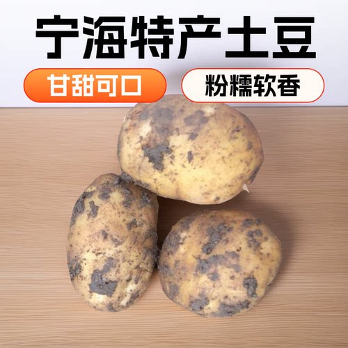 宁海特产胡陈洋芋小土豆黄心迷你