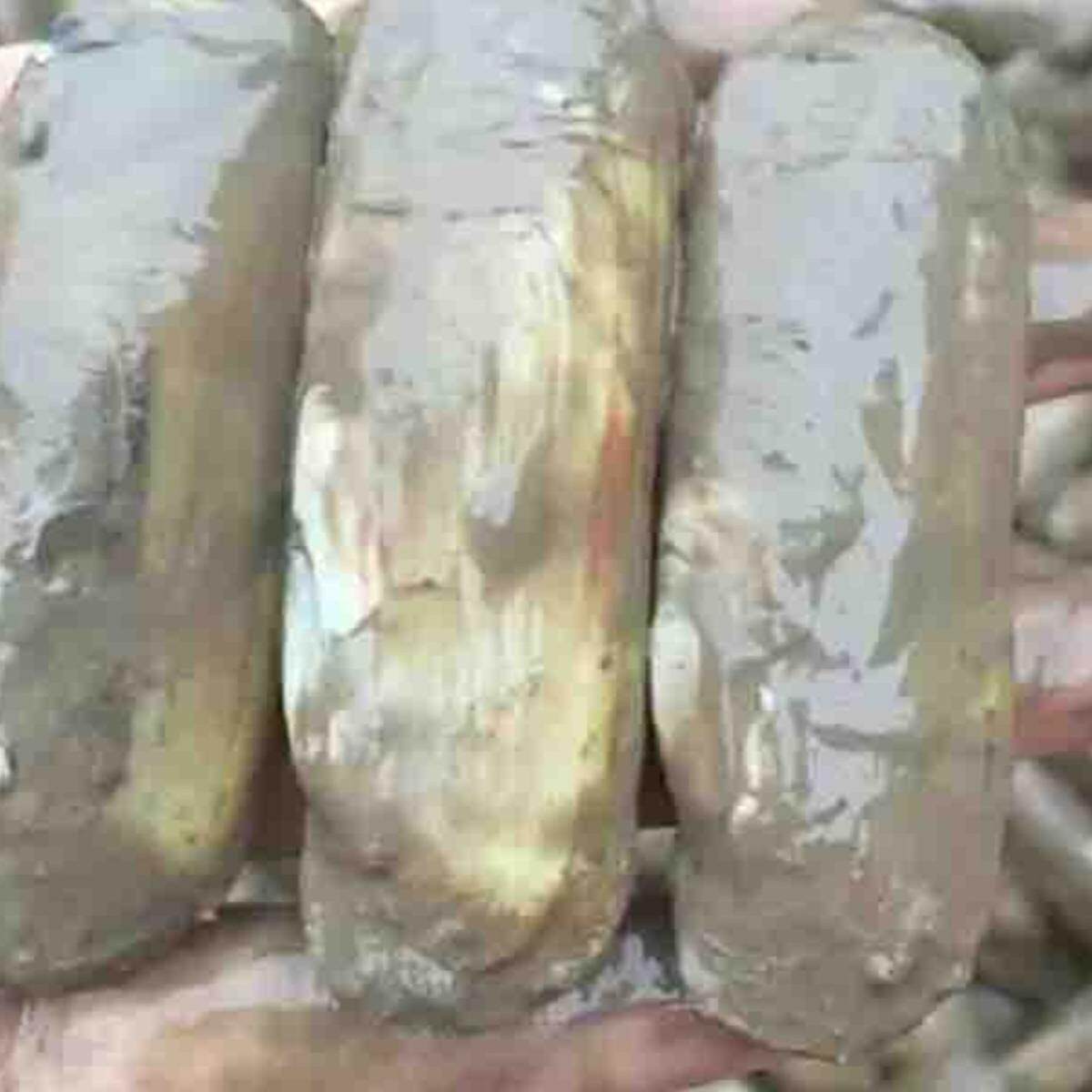 宁海特大长街蛏子贝类带泥海鲜鲜活水产淘宝吃货野生无沙小海鲜