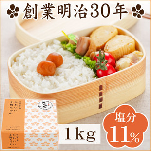 答谢礼物 日本直邮中田食品和歌山特产纪州小梅下饭梅干1kg礼盒装