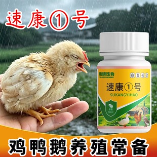 速康1号鸡鸭鹅打蔫低头精神差受凉受冻淋雨100片/瓶