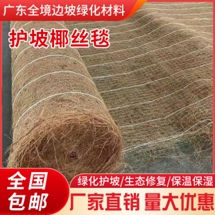 椰丝毯边坡绿化矿上植草高速公路生态护坡纤维毯河道环保抗冲毯