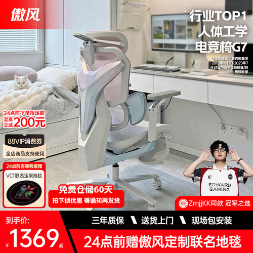 人体工学电竞椅 3区AUTO追腰 电竞樱花背甲