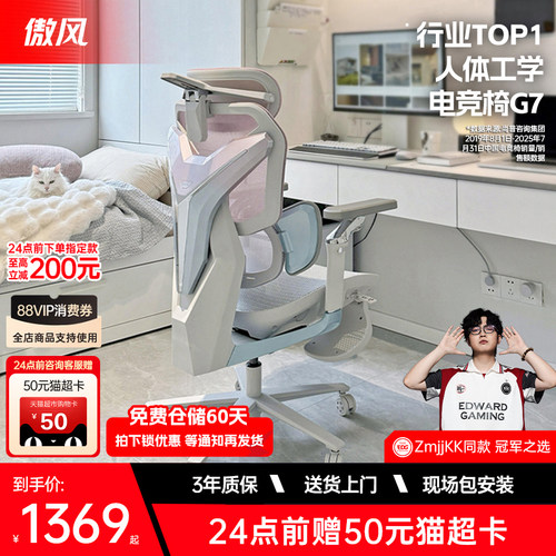 人体工学电竞椅 3区AUTO追腰 电竞樱花背甲