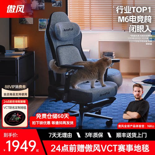 傲风M6电竞椅人体工学椅纳米织物