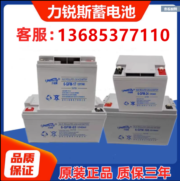 力锐斯蓄电池12V65AH100AH120AH38AH24AH17AH机房消防UPS应急电源