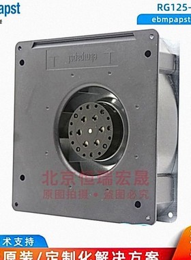 德国ebmpapst RG125-19/56 通力电梯 巴马格纺织机器 230V 20W