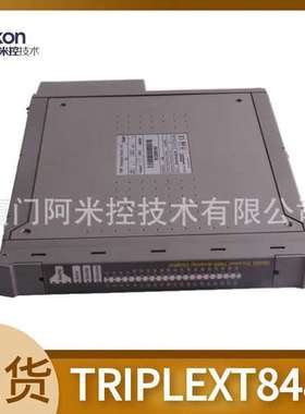 T8193 Trusted TMR空控制器模块