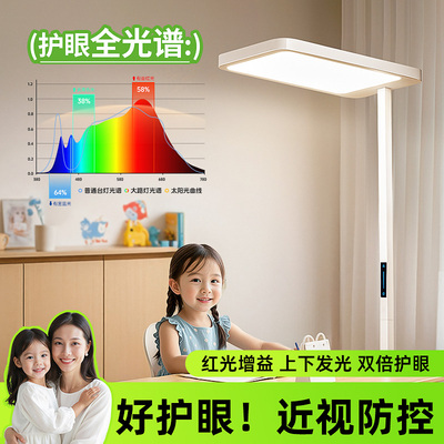 【中科院研发】落地护眼大路灯