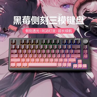 迈从Ace68磁轴机械键盘小型机械手感有线键盘静音笔记本外接三模