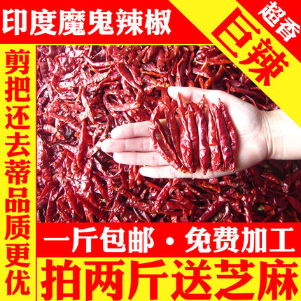 超辣特辣印度魔鬼辣椒王香辣特辣辣椒油干辣椒面烧烤一斤特价包邮