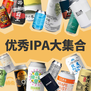 酸浑浊IPA国产精酿啤酒 大九酿造或不凡野鹅微醺半颠 楠希小馆