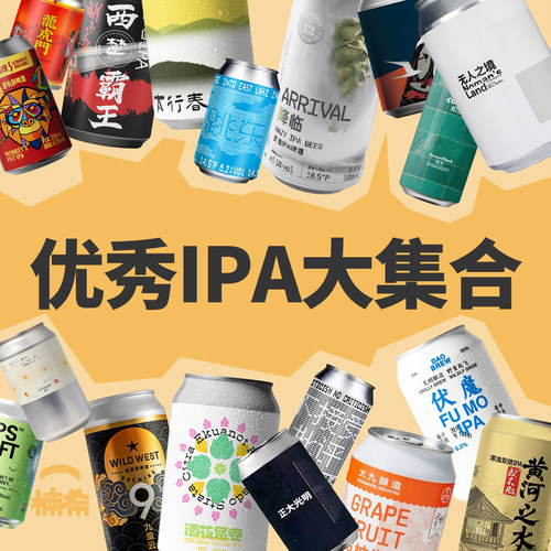 浑浊酸IPA国产精酿啤酒组合