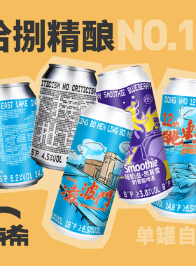 【楠希小馆】拾捌跳东湖IPA晃湖世涛多芝葡萄茶啤国产精酿啤酒